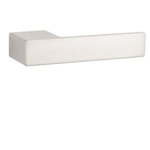 ASG - LUDISIA - RT