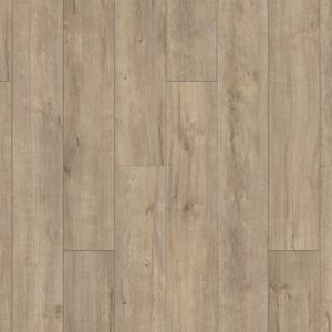 Atlantic 8 Dub Mushroom Apollo K634 MW 8 mm AC4/32 4V 1clic2go pure+